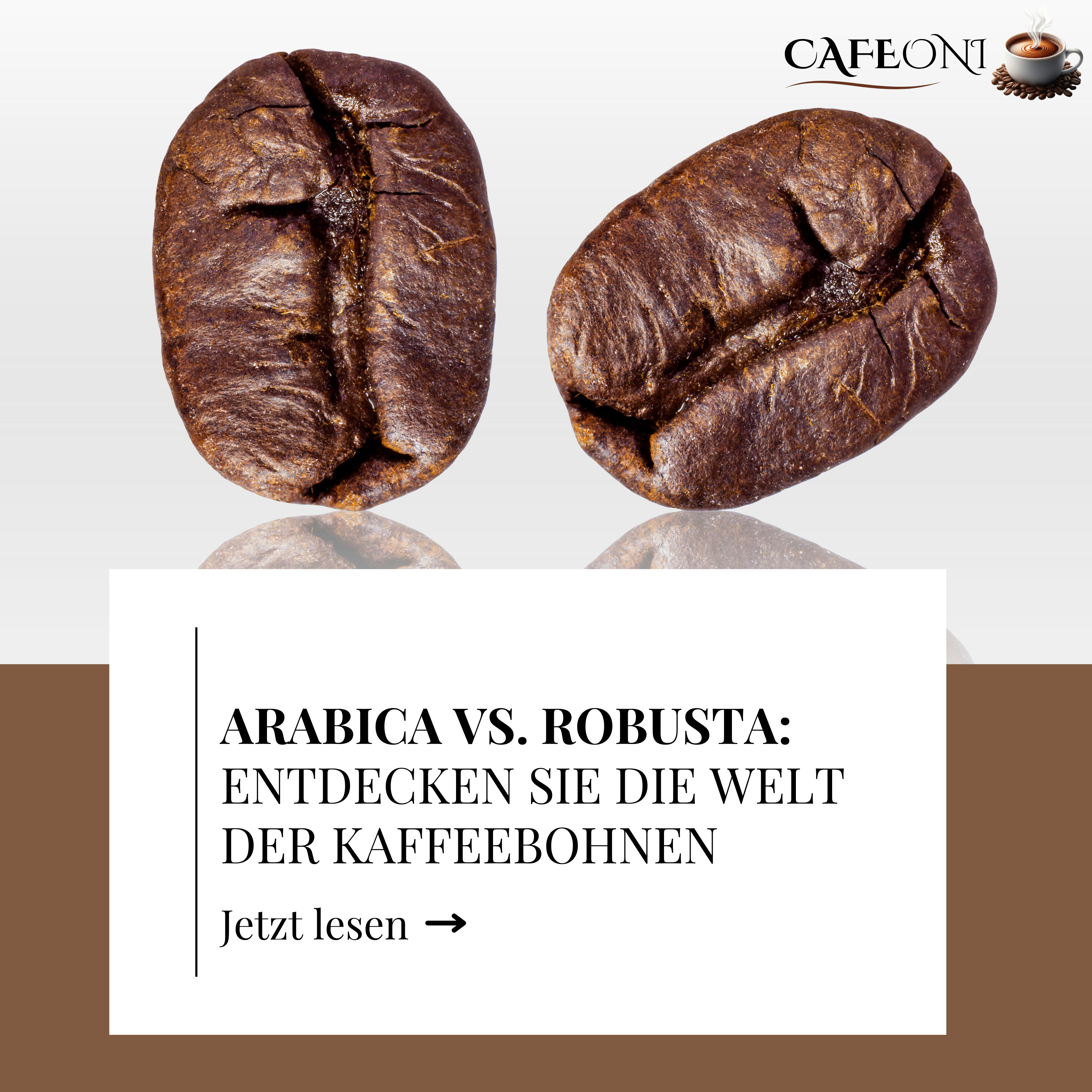 Arabica vs. Robusta: Entdecken Sie die Welt der Kaffeebohnen