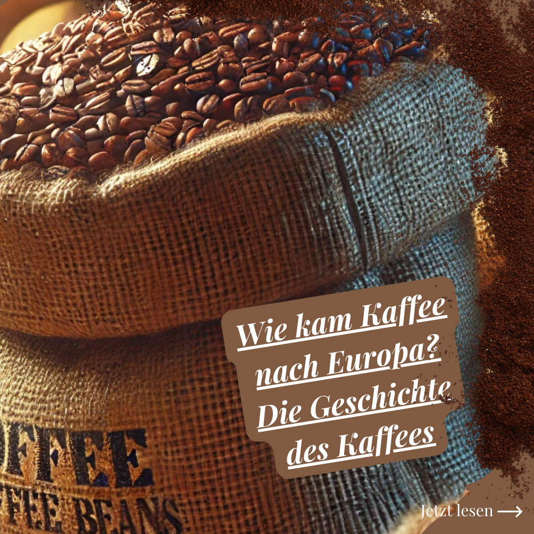 Wie kam Kaffee nach Europa? Die Geschichte des Kaffees