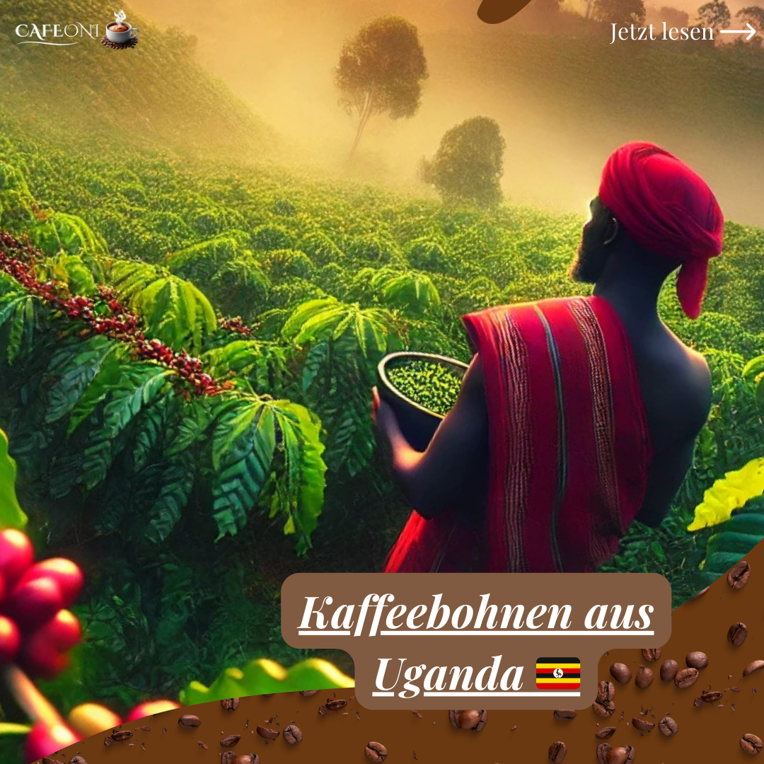 Kaffeebohnen aus Uganda