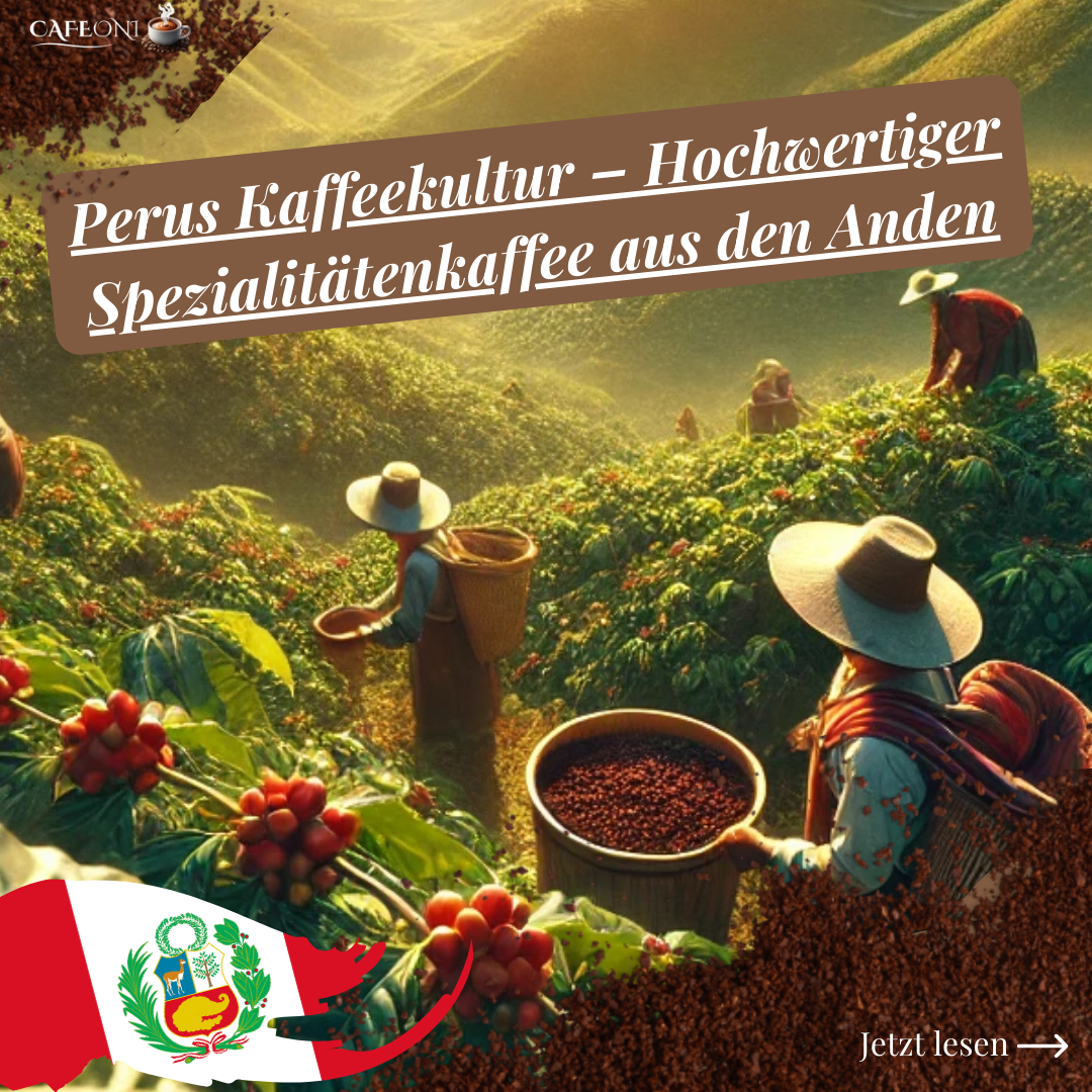 Perus Kaffeekultur – Hochwertiger Spezialitätenkaffee aus den Anden | Cafeoni